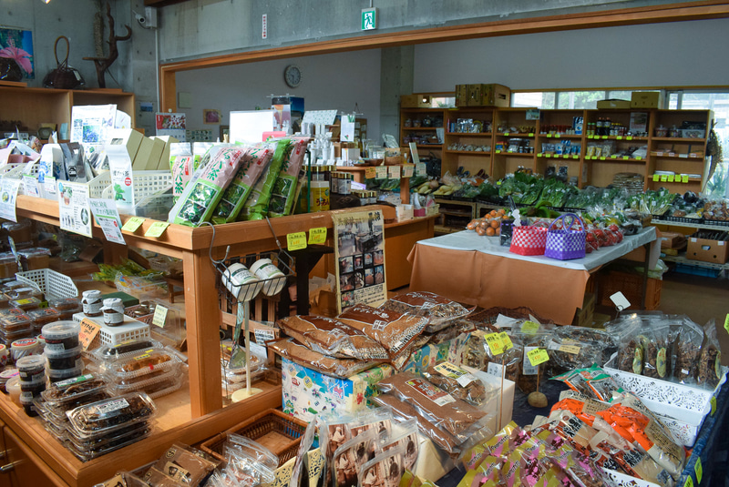 農産物をはじめ、お菓子など加工食品や植物由来の化粧品、民芸品まで多くの商品が揃う。野菜はとても安い！