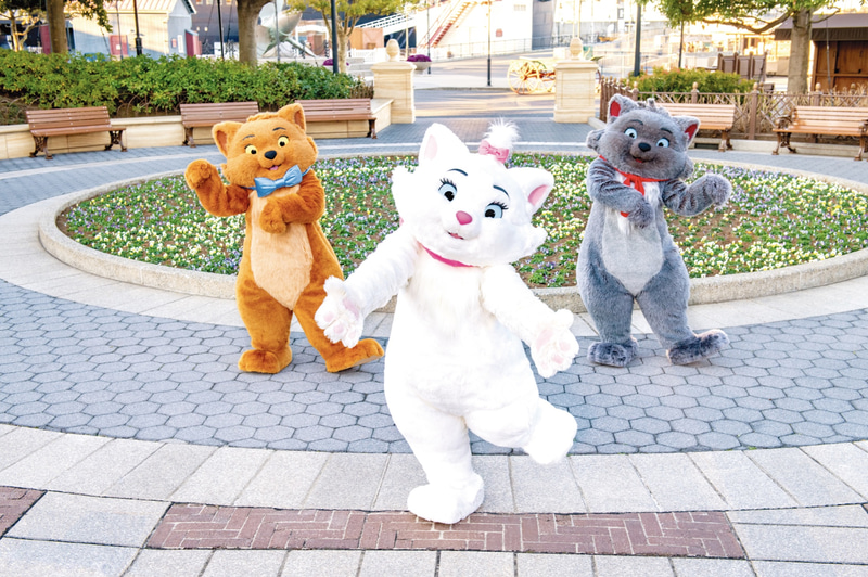 東京ディズニーリゾートは2月22日の「猫の日」に子ネコの「マリー」のお散歩の様子を公開した