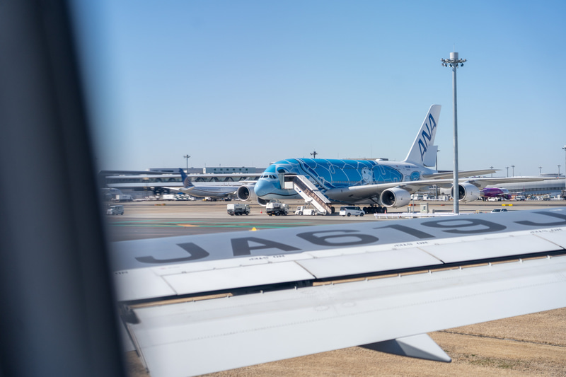 遊覧フライトのあとに乗り込むブルーの「FLYING HONU」の姿が