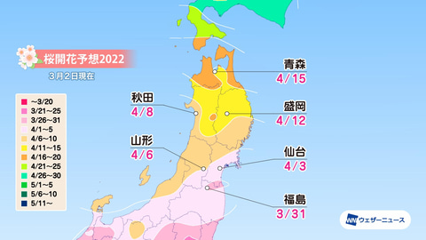 桜開花は3月20日の東京から、西・東日本は平年並。ウェザーニューズ