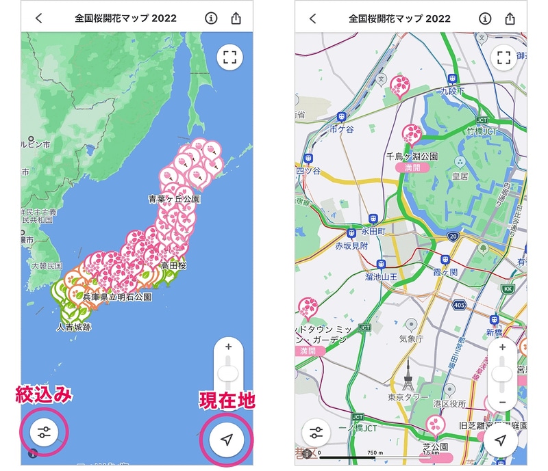 画面下部を引き上げて「全国桜開花マップ2022」のカードをタップ