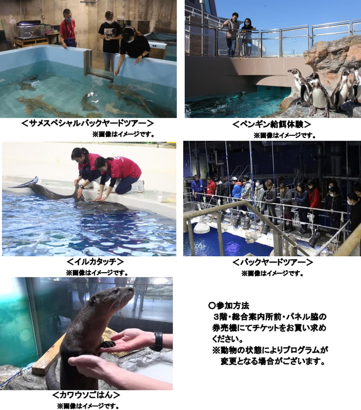 人気体験プログラムを一挙に開催