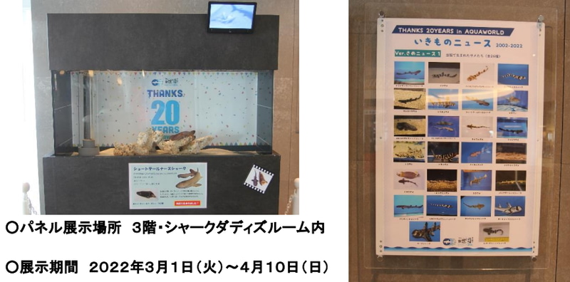 アクアワールド・大洗の歴史を展示パネルで振り返るコーナーを設置