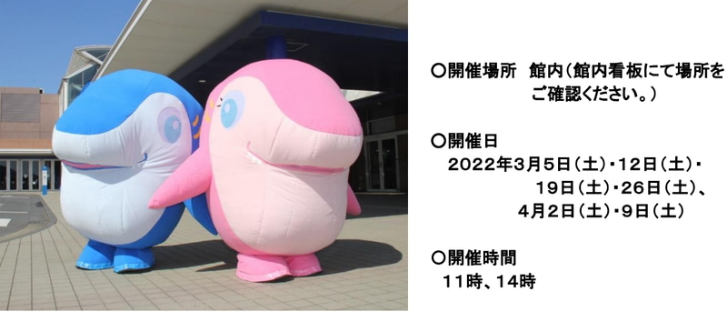 サメの妖精「ピルル＆ブルル」のグリーティングタイム