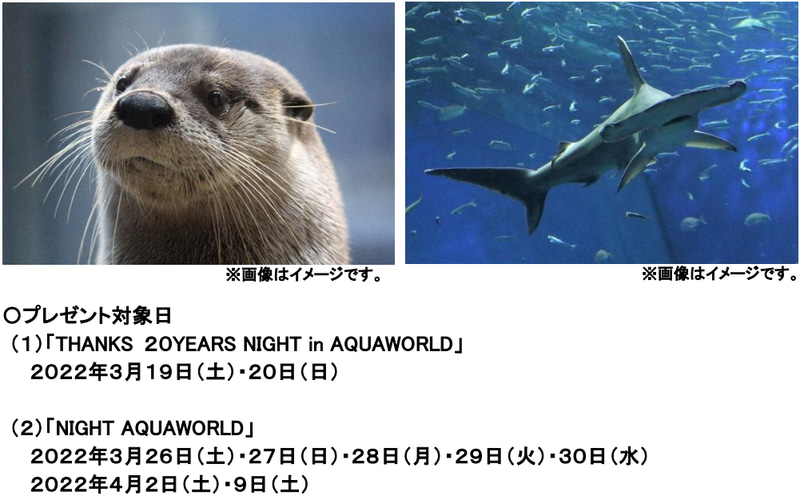 人気生物をデザインモチーフとしたオリジナルポストカードをプレゼント