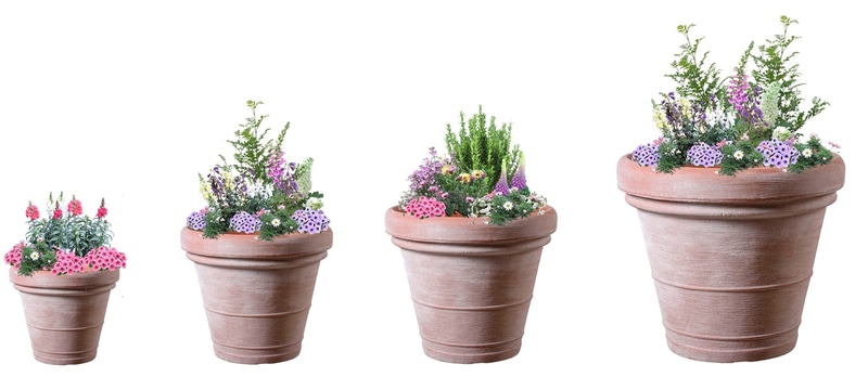 立体花壇とさまざまな大きさのプランターを展示