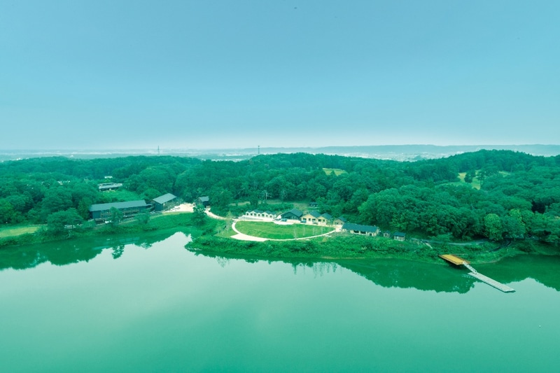 メッツァビレッジS