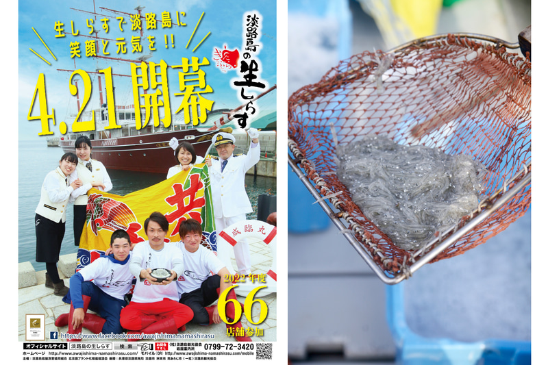 淡路島の「生しらす」