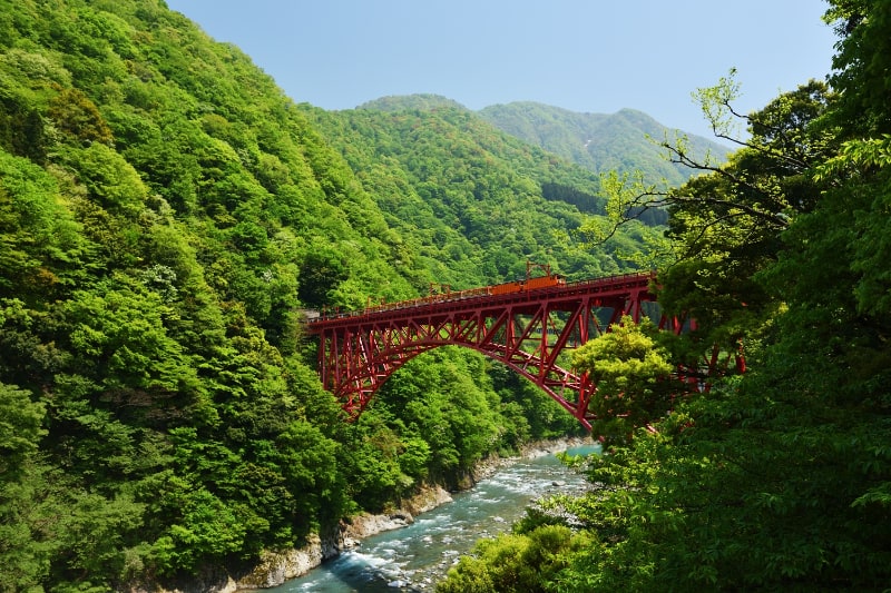 黒部峡谷鉄道（新山彦橋）