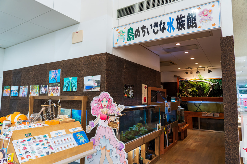 海洋自然博物館内の「島の小さな水族館」を見てみました