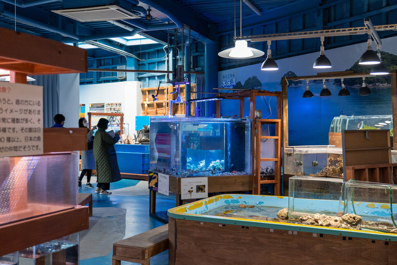 秘密基地っぽい手作り感ある水族館。子供たちは喜びそう