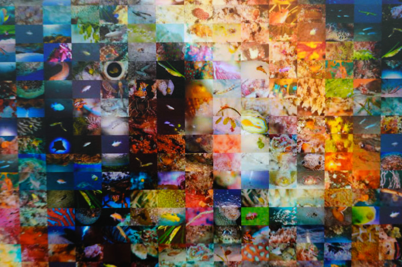 細部を見ると1コマ1コマが異なる写真になっている