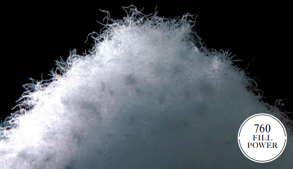 保温性に優れた760フィルパワーのDXヨーロピアンホワイトダックダウン