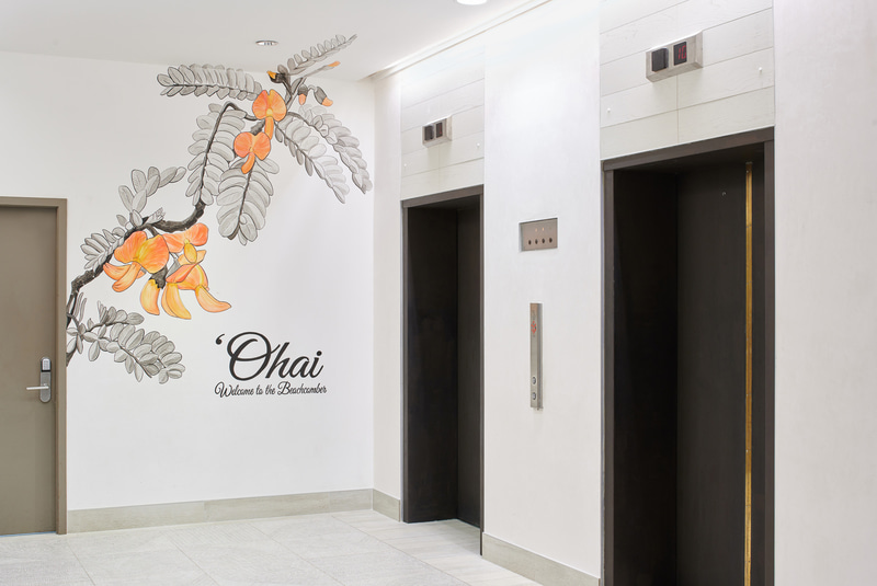 各階のエレベーターホールにはさまざまなハワイ原生固有の植物イラストが。手掛けたのは壁画作家のエリン・イバーラさんで、それぞれの植物が生息する標高と各階の高さを合わせているのだとか