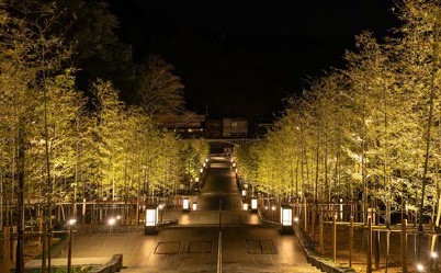 片道運賃は4000円、往復運賃は7000円