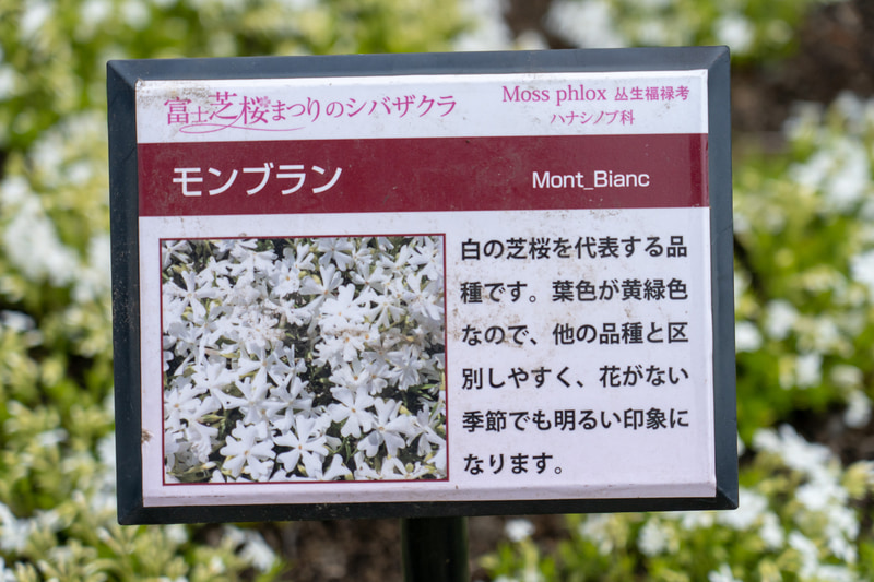 見られる芝桜は全8種類。花の説明看板もあります