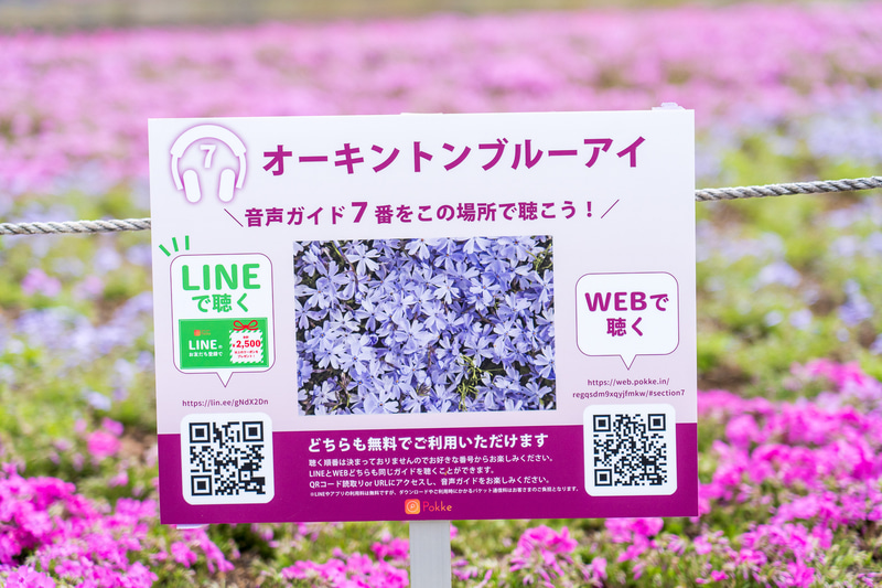 見られる芝桜は全8種類。花の説明看板もあります