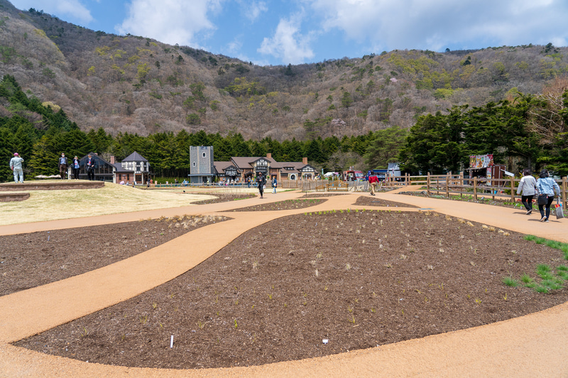 植え付け間もないのでまだまだこれからという感じでした