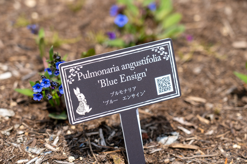 代表的な植物には花看板が。QRコードから詳細が分かるようになっています