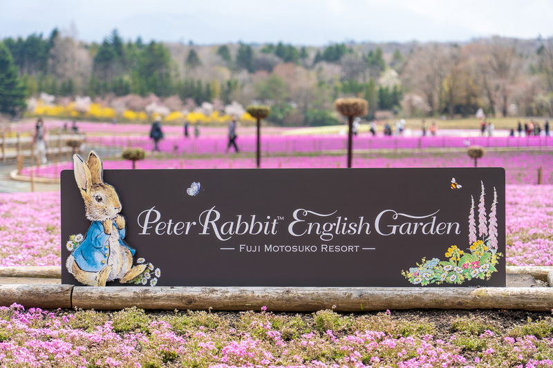 芝桜エリアやショップエリアには、ピーターラビットの看板フォトスポットがいくつか