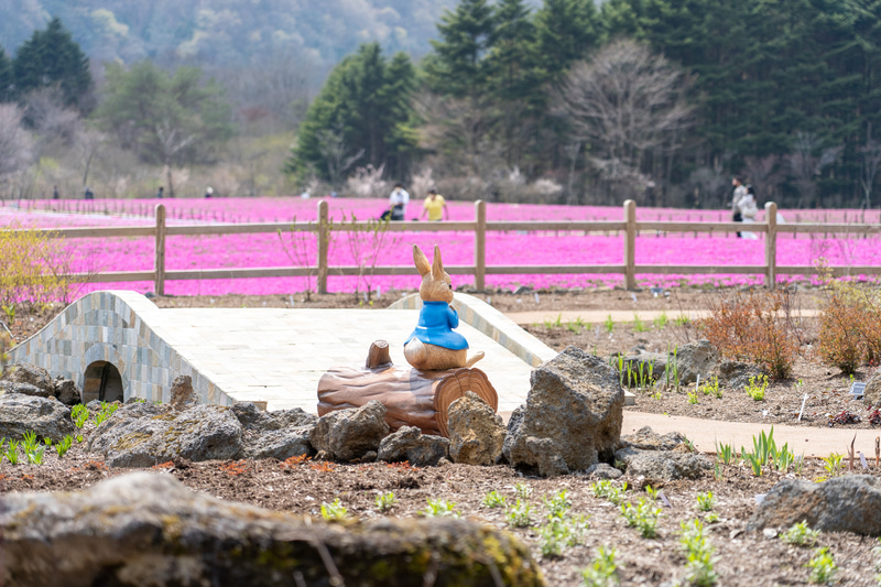 年月をかけて美しい英国式庭園になる予定の「ピーターラビット イングリッシュガーデン」に期待しましょう