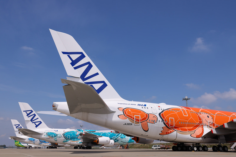 朝方は曇り空だったが、ちょうどA380との記念撮影では晴れとなった