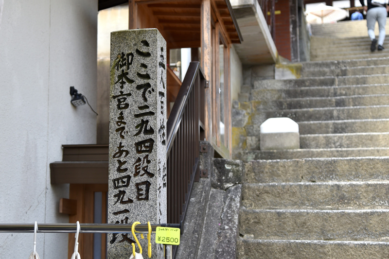 階段脇に残りの段数が記されているので目安が分かる