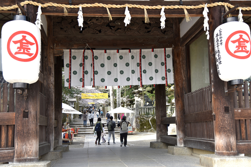 「大門」からは境内となる。静かで落ち着いた雰囲気へと一瞬で空気が変わる