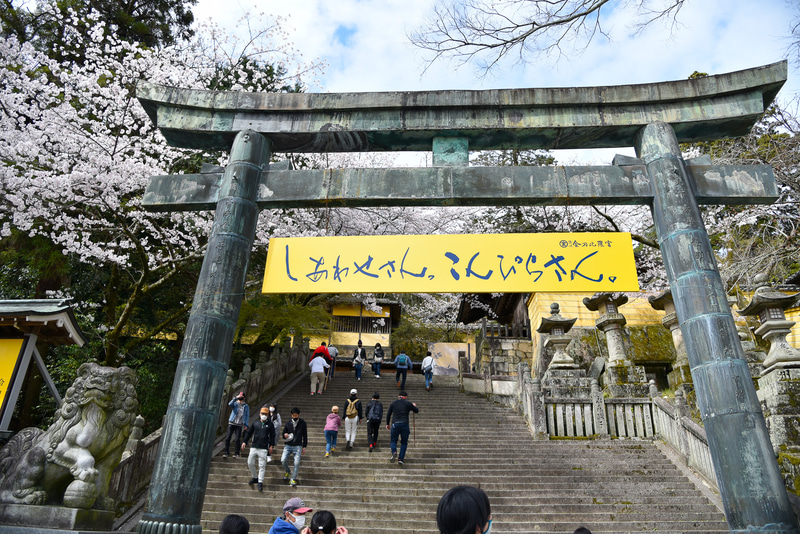 「桜馬場西詰銅鳥居」をくぐり、とにかく続く石段を進み続ける。飲み物とやはり杖が必要