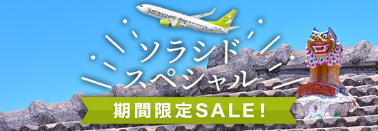 ソラシドエアは羽田～沖縄線が5900円～の「ソラシドスペシャル」を期間限定で販売する