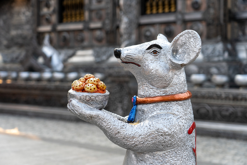 ガネーシャに使えるネズミたち。片方の耳をふさいで願い事をささやきましょう