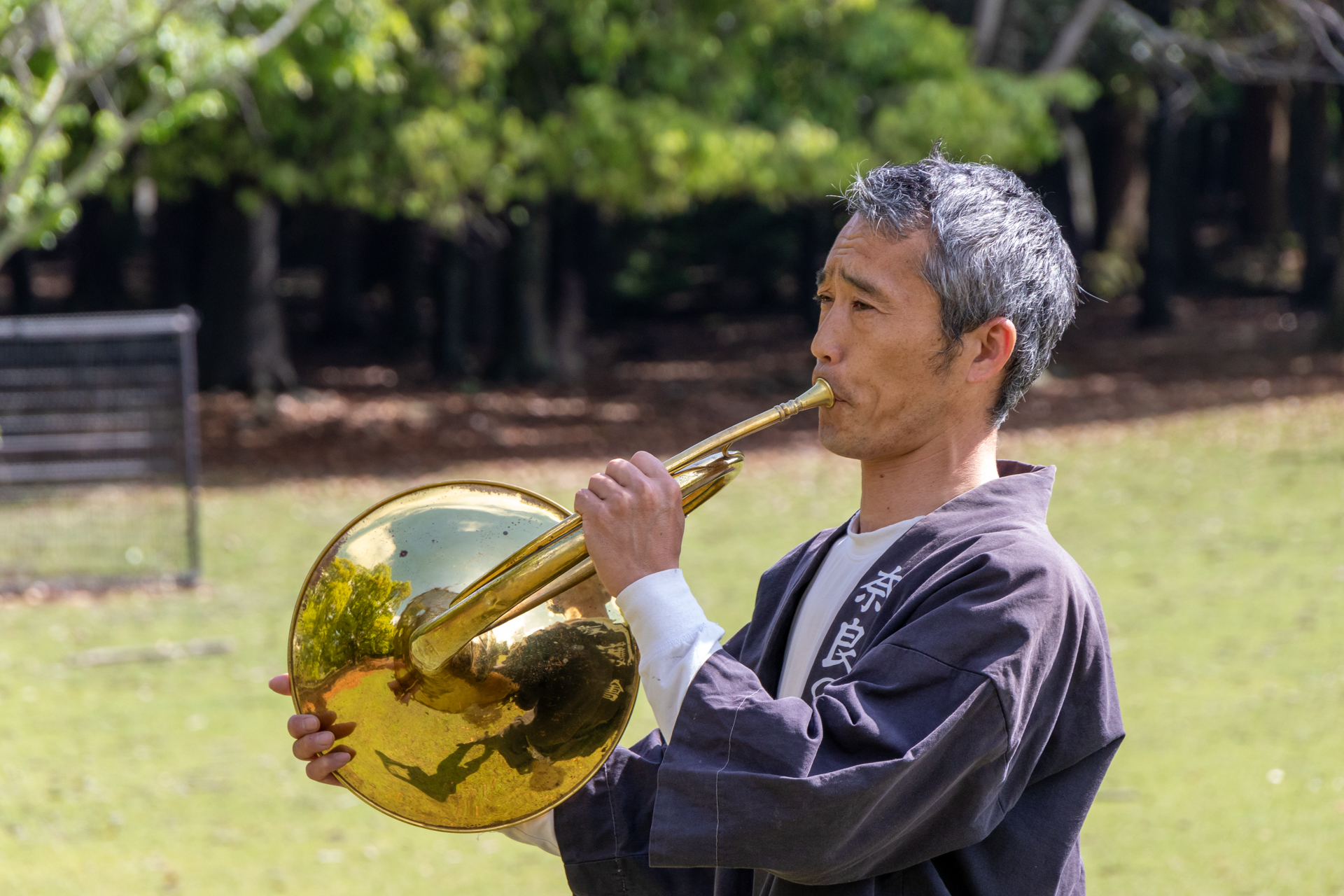 ナチュラルホルンの音色に集まってくる鹿たち。冬は食べ物が少ないため集まるのも早いが、暖かくなってくるとのんびり気味になるらしい