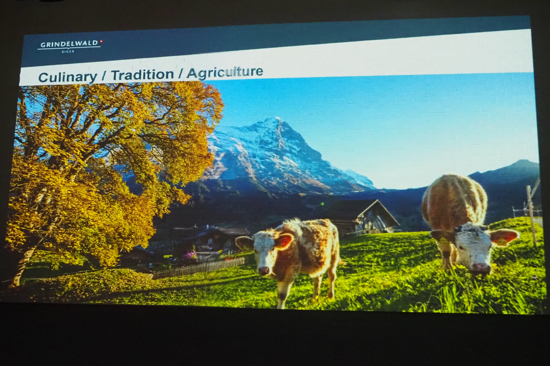 自然や伝統、農業など多様な側面があり、1年を通して観光を楽しめるグリンデルワルト