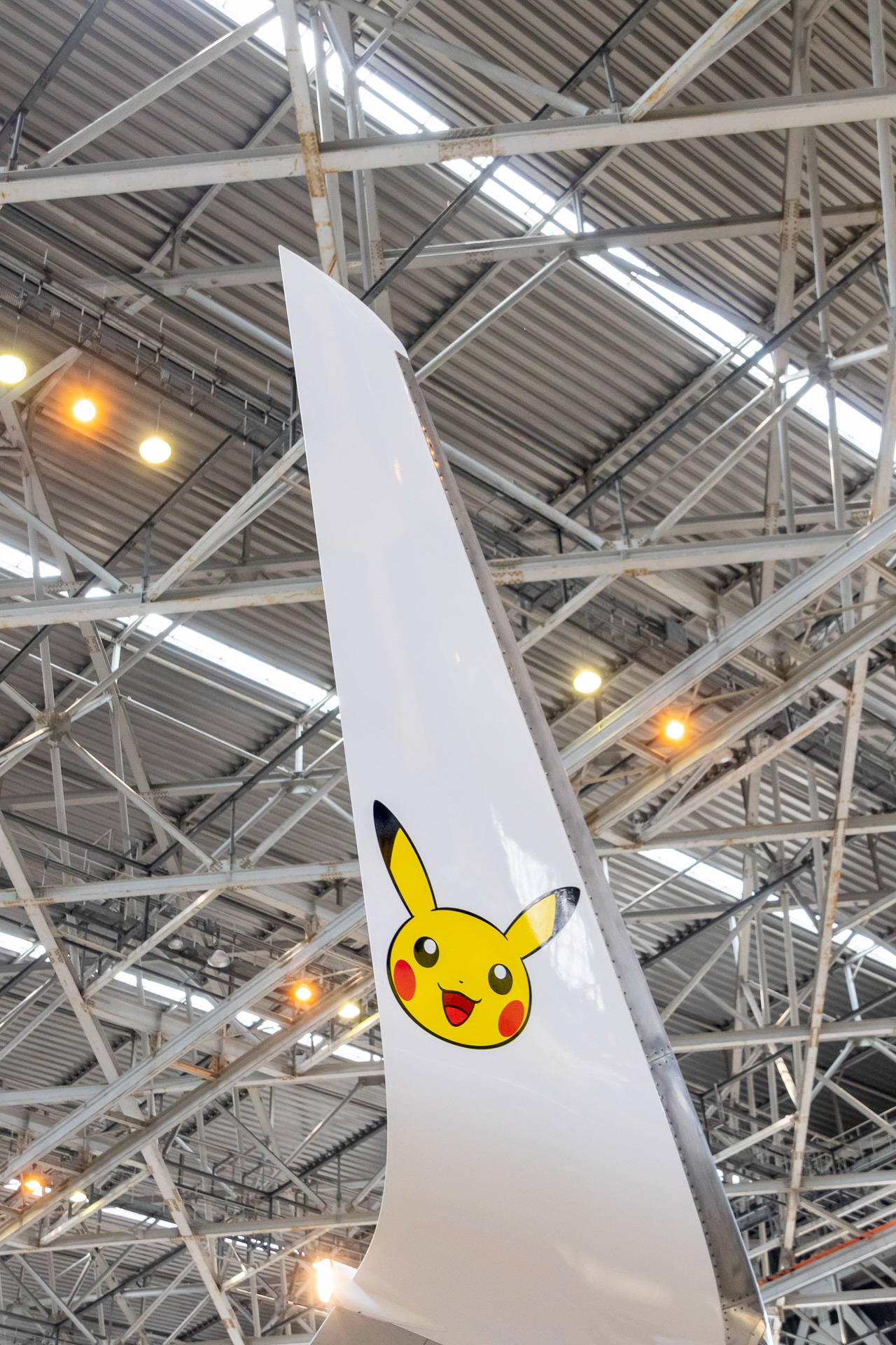 ピカチュウ、シェイミ、コイキング、サニーゴ、タッツーなど、多くのキャラクターがいたるところに描かれている