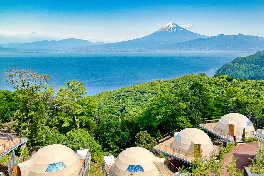 ウリは富士山と駿河湾の眺望
