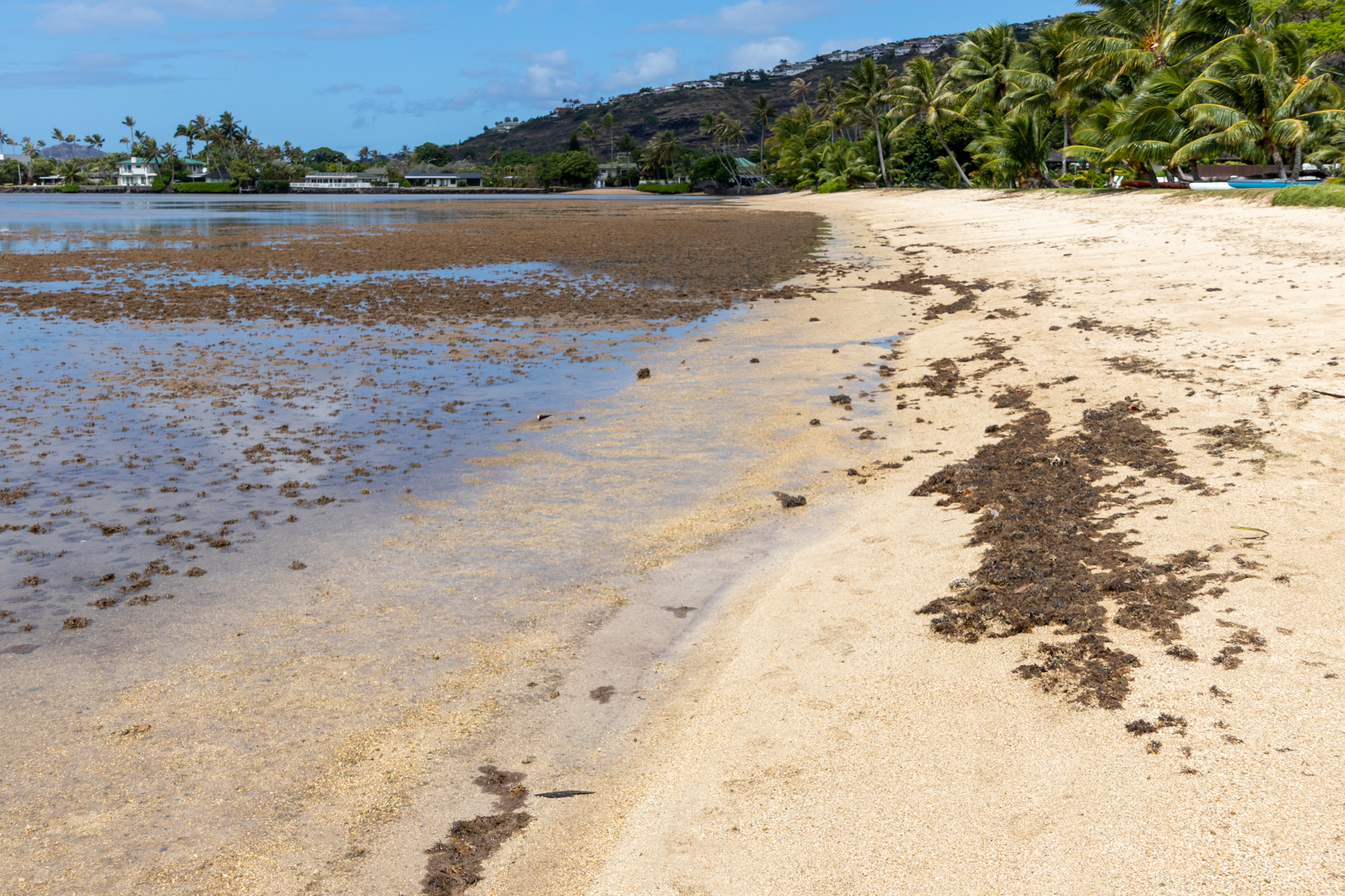 少し歩いた先にはこのような光景が広がり、次世代に残す重要な取り組みであることを感じた
