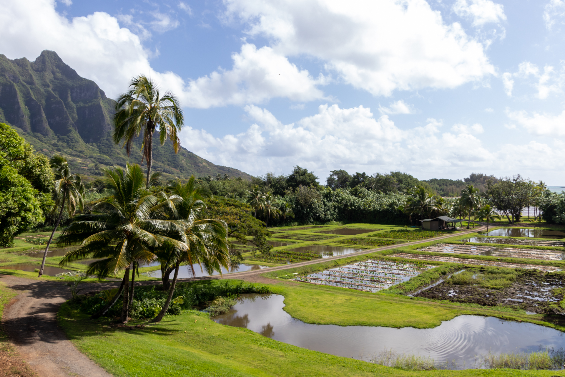 どこもかしこも絵になる景色