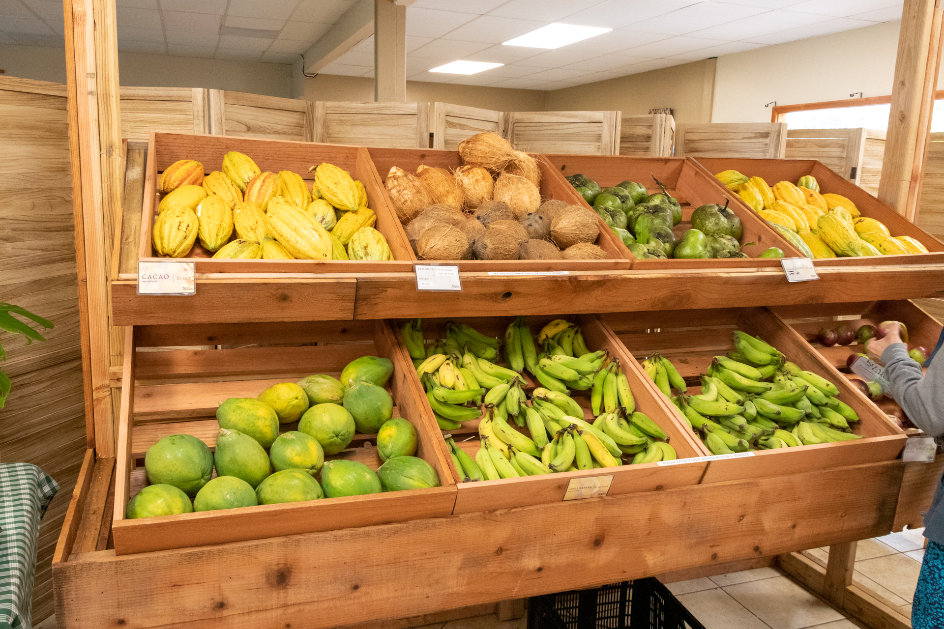 多種多様な農作物が並んでいる