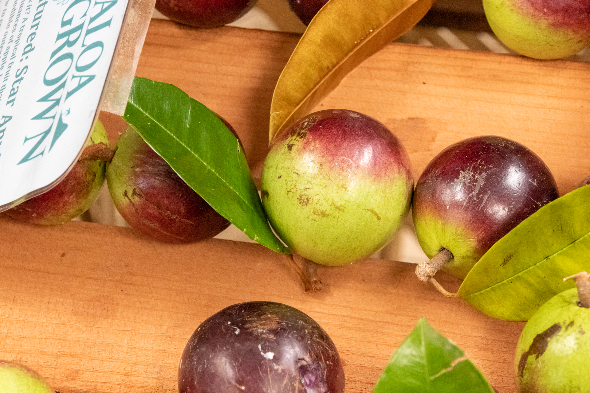 筆者が購入したスターアップル