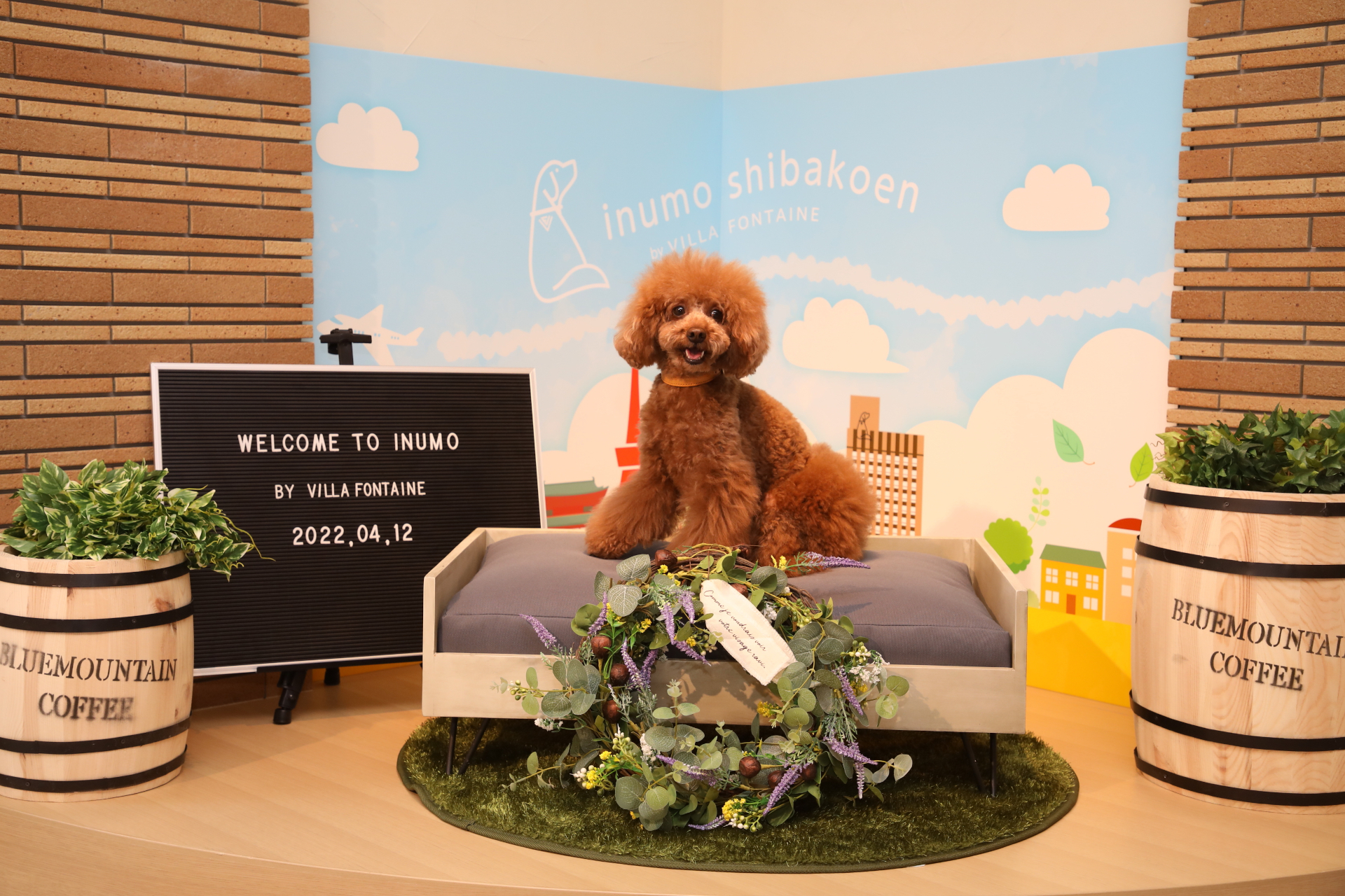 旅の思い出を撮影できるスポットも