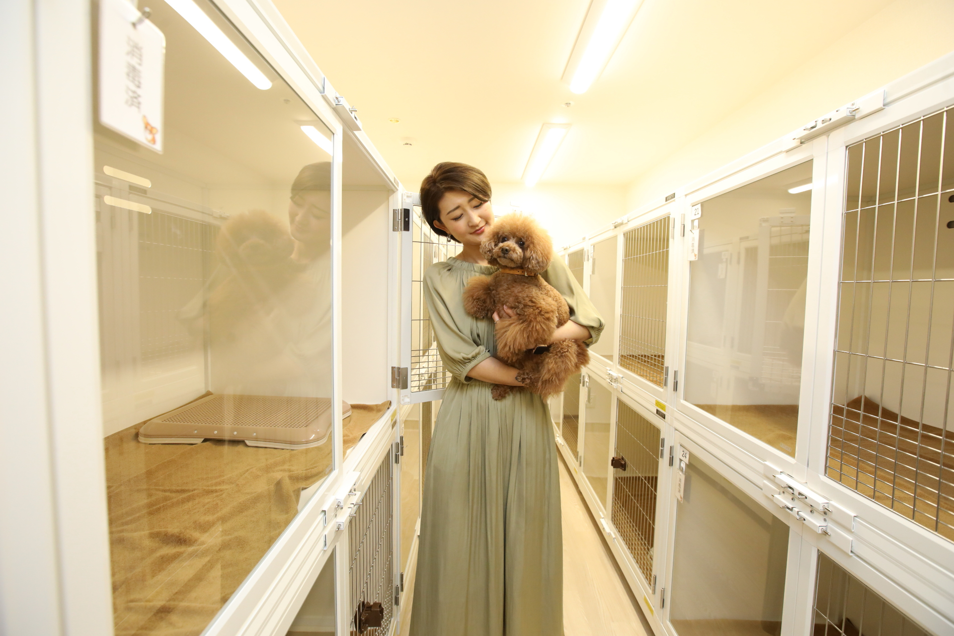 愛犬の一時預かりサービスも利用可能