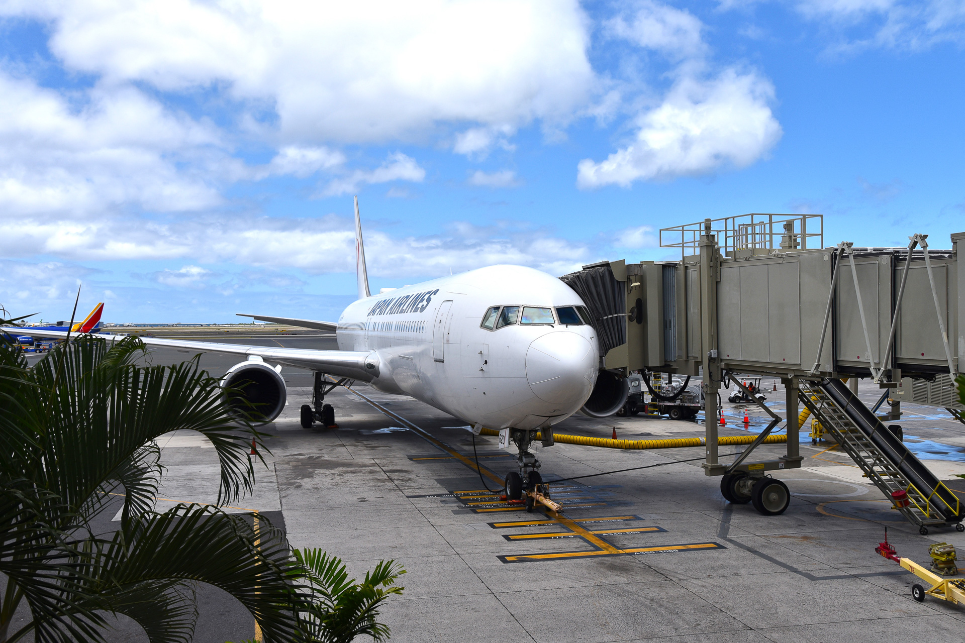 無事に帰国の途に。機内はほぼ満席でした