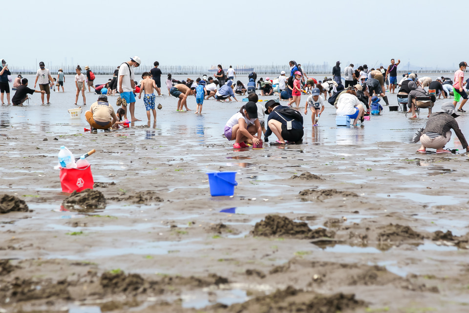 サマージャンボカプセル潮干狩り」千葉・富津海岸潮干狩場で開催。限定