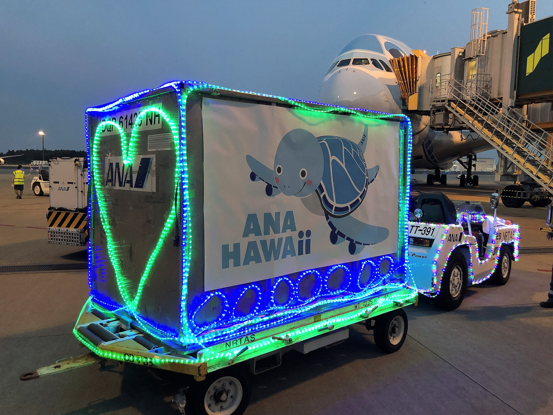 成田では再投入を記念した式典を実施（写真提供：全日本空輸）