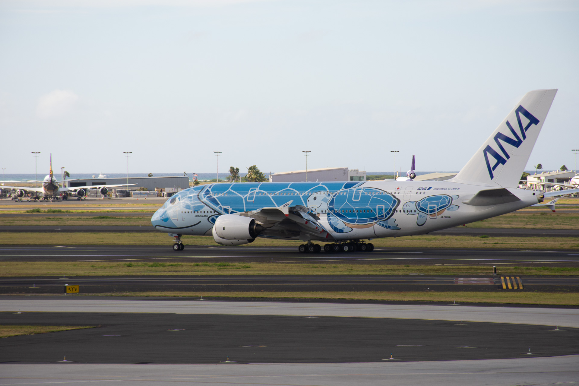 ホノルルへ到着したNH184便。ダイヤモンドヘッドやワイキキの市街を背にスポットインしてくる