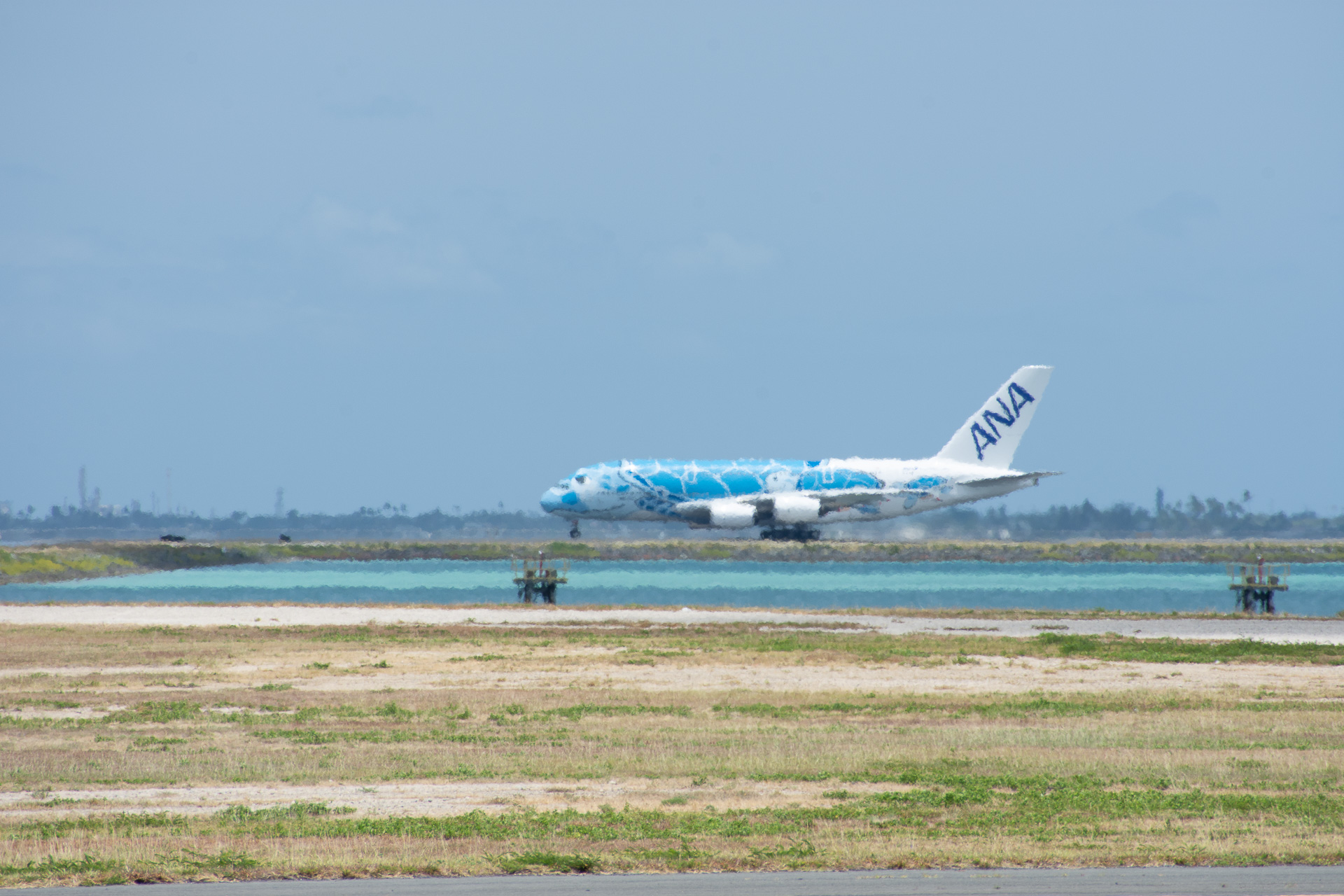 再び日本へのフライトに就くFLYING HONU 1号機