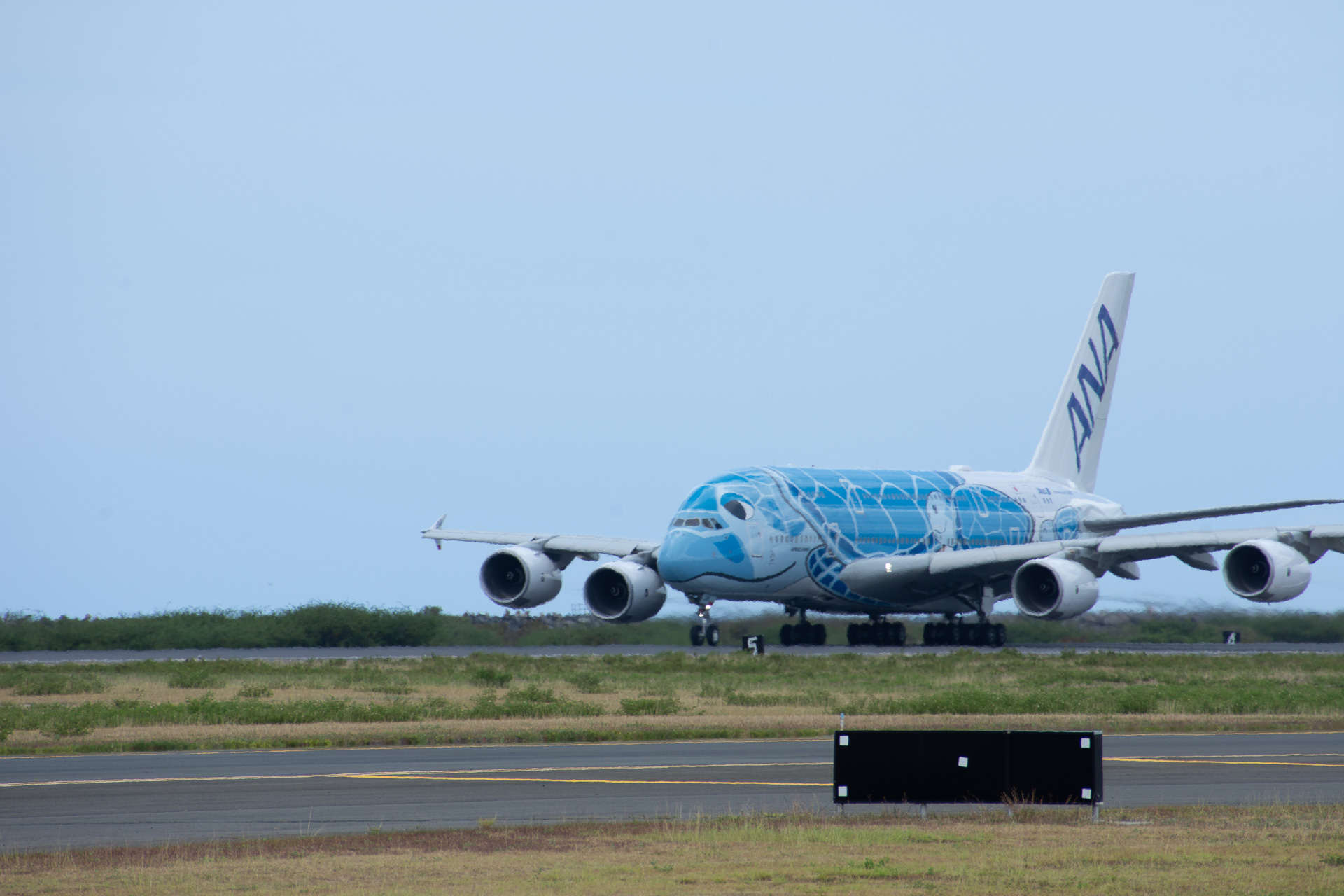 再び日本へのフライトに就くFLYING HONU 1号機