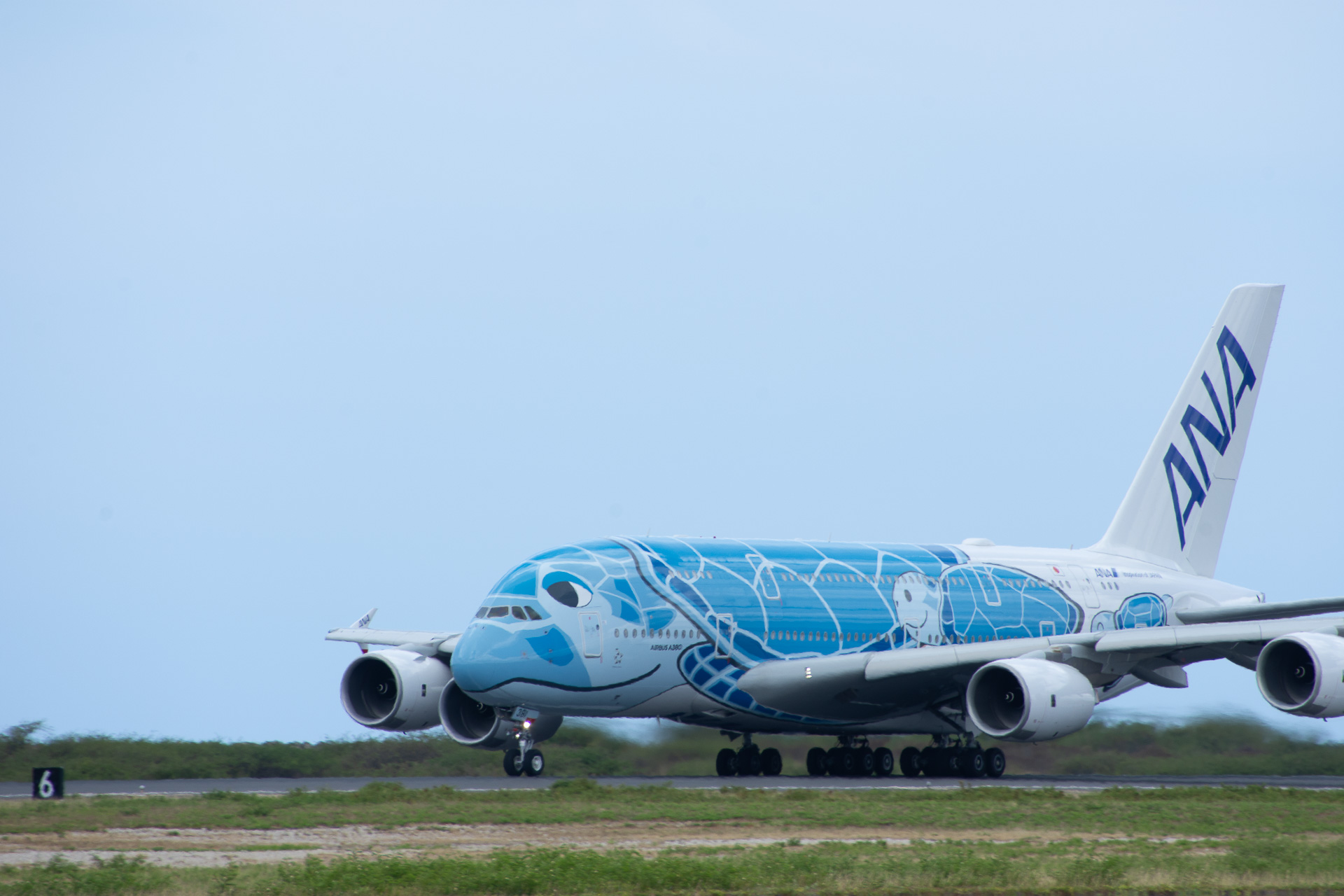 再び日本へのフライトに就くFLYING HONU 1号機