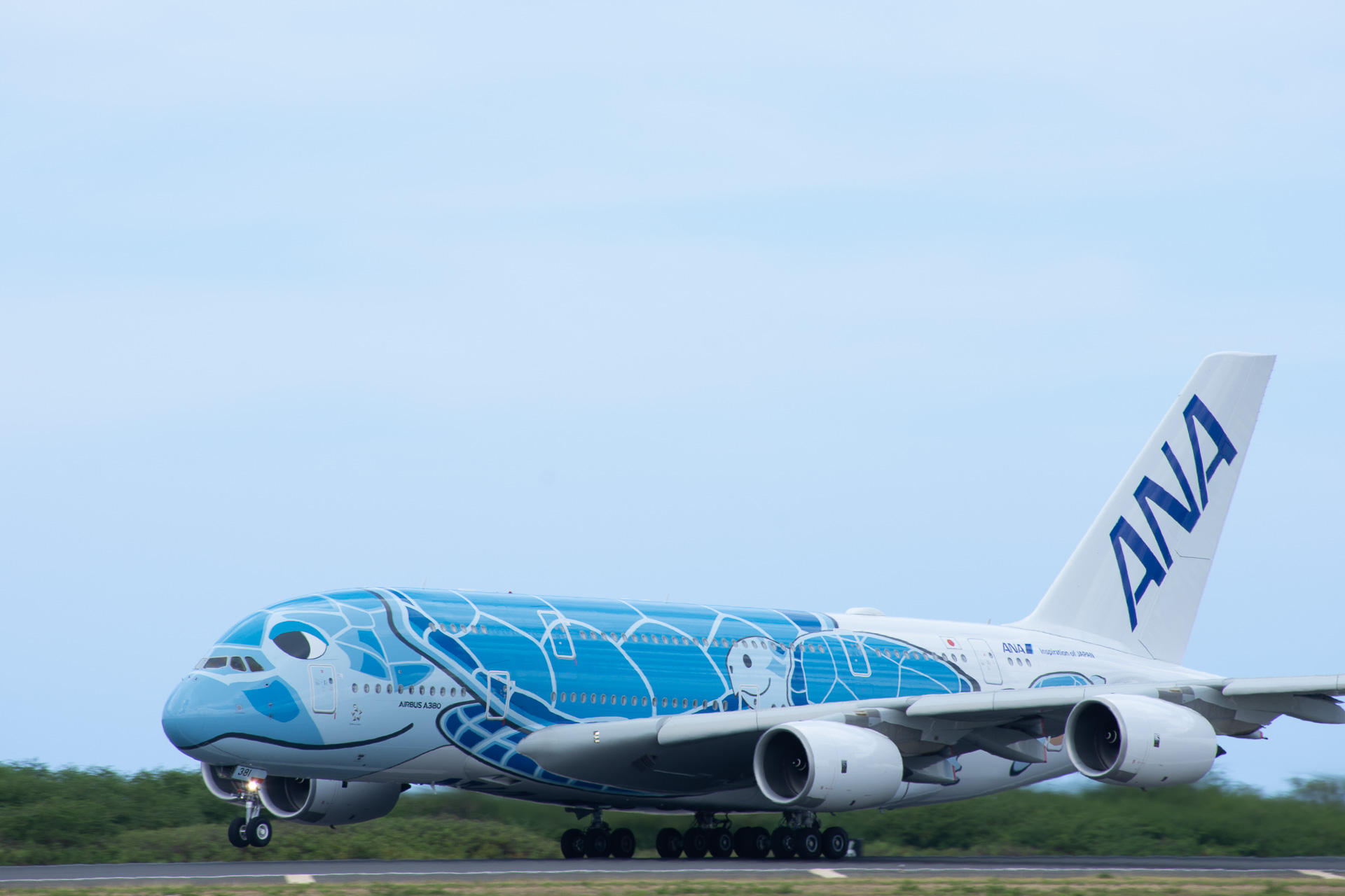 再び日本へのフライトに就くFLYING HONU 1号機