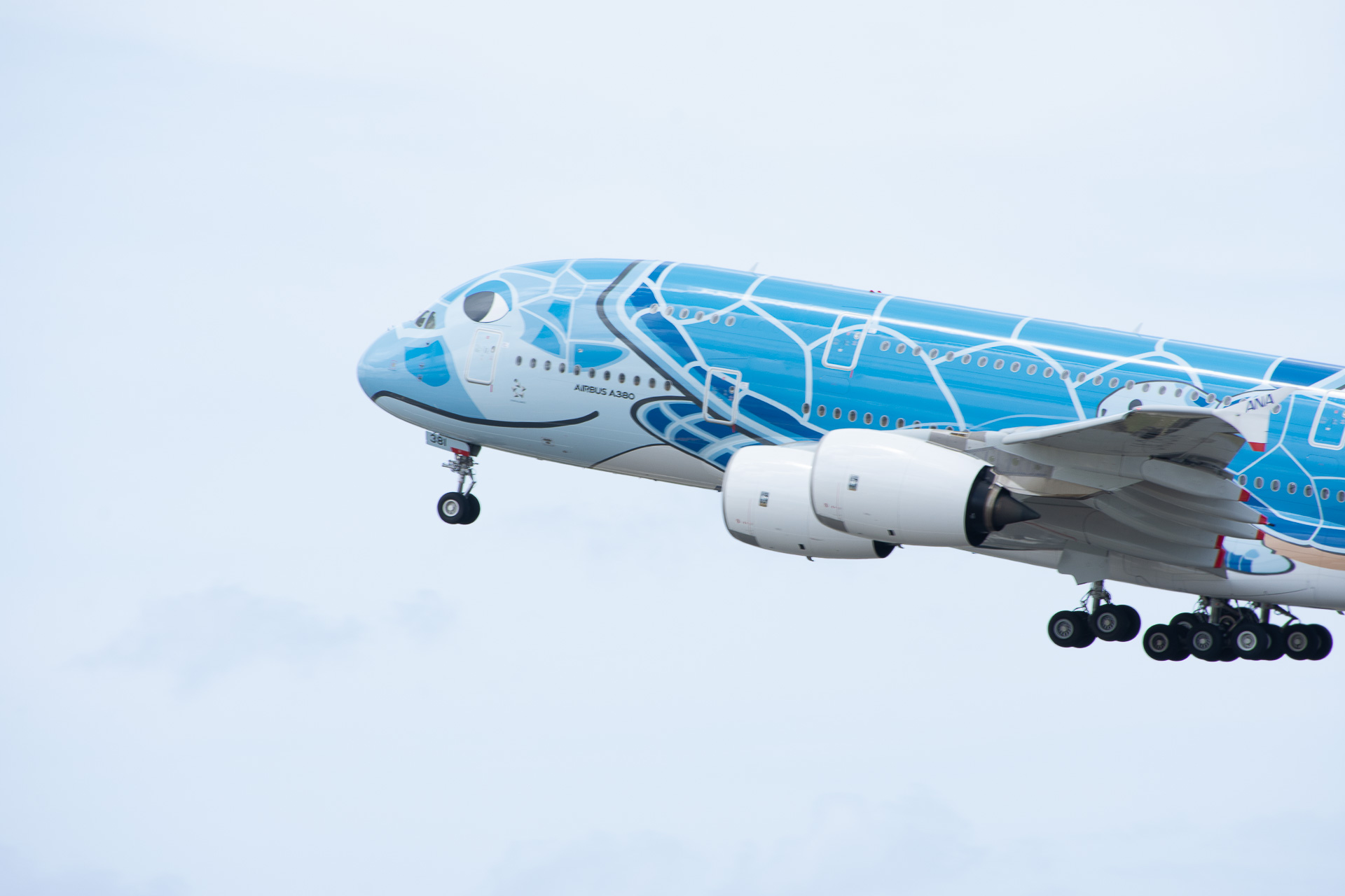 再び日本へのフライトに就くFLYING HONU 1号機